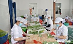 Đoàn kết, sáng tạo đưa Vĩnh Bình phát triển bền vững