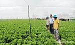 Xã Tân Điền: Phát huy tiềm năng ven biển