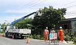 Đảm bảo cung cấp điện an toàn - ổn định - liên tục dịp Lễ Quốc khánh 2-9