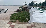 Đồng Tháp: Công bố tình huống khẩn cấp sạt lở bờ sông Tiền khu vực Kè chống xói lở Thường Thới Tiền