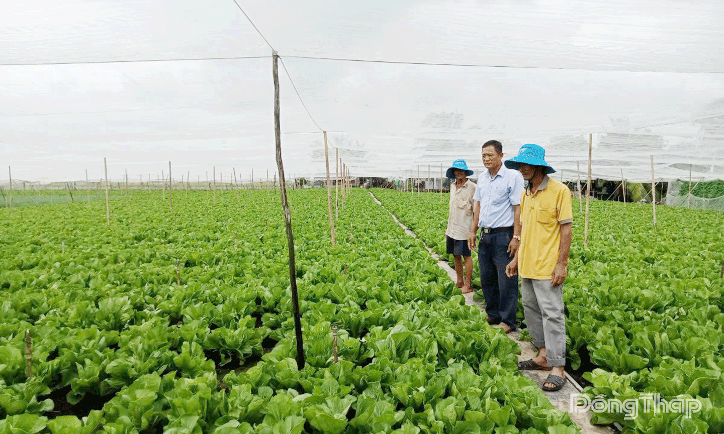 Xã Tân Điền: Phát huy tiềm năng ven biển