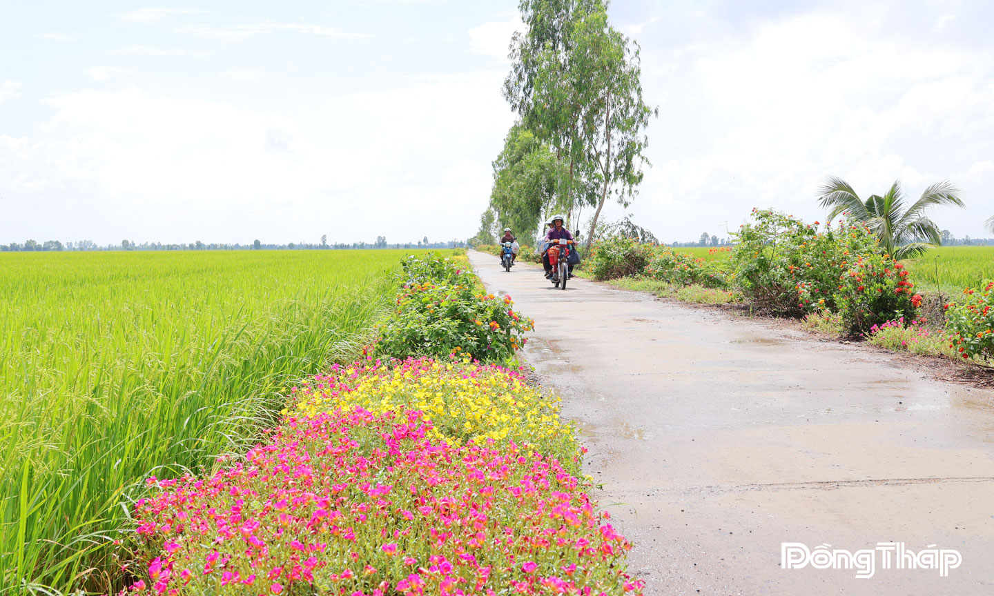  Nông thôn mới xã Phú Thọ (tỉnh Đồng Tháp) ngày càng khởi sắc.