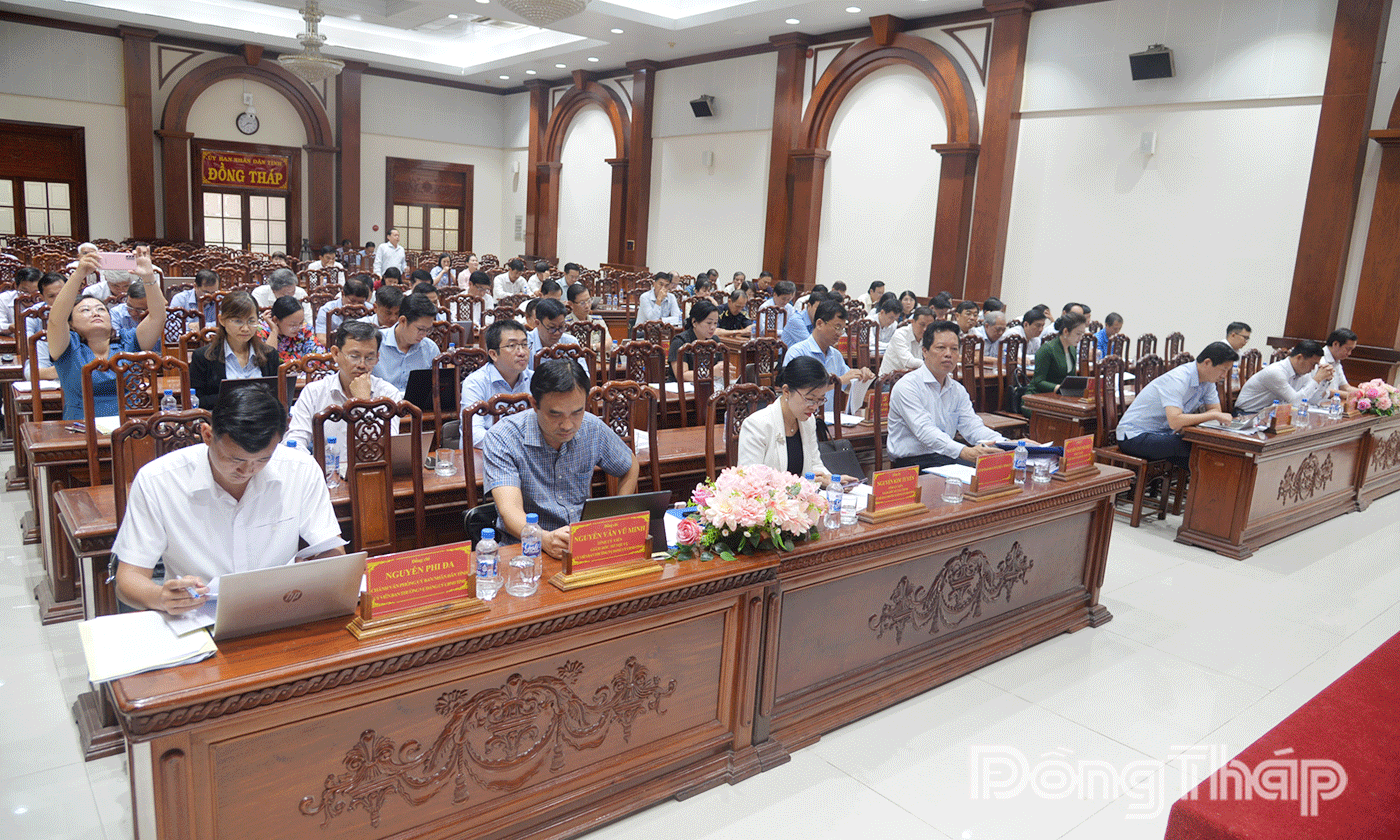 Đại biểu dự hội nghị.