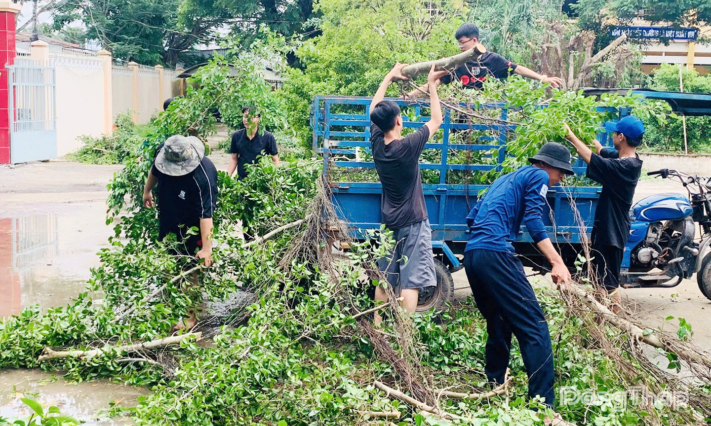 sinh viên tình nguyện đã chung tay cùng đoàn viên, thanh niên xã Long Tiên 