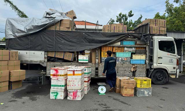 Ảnh Công an Đồng Tháp.