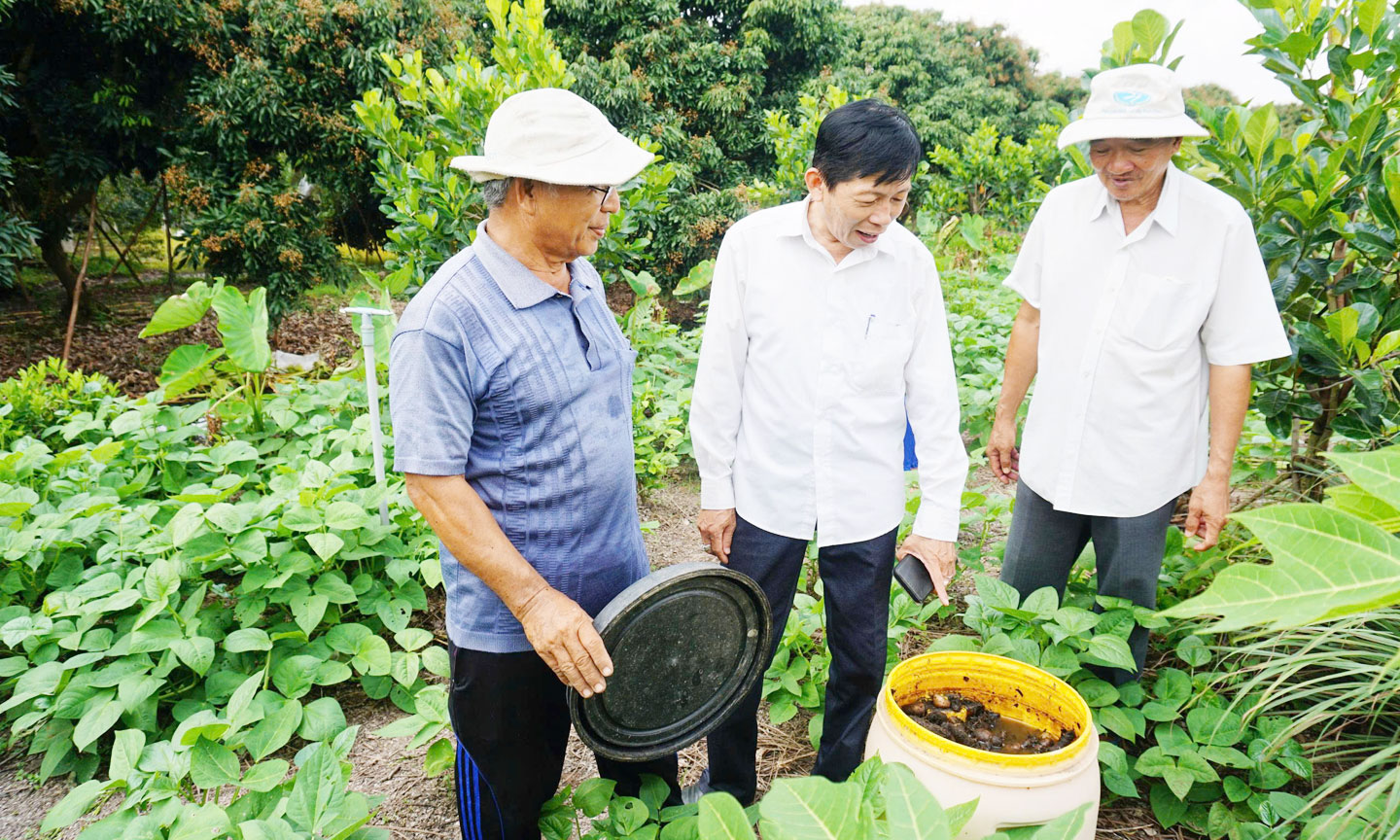 Từ khi tham gia mô hình “Người nông dân chuyên nghiệp”, ý thức bảo vệ môi trường của nông dân Phú Hựu được nâng cao, thể hiện qua việc nông dân áp dựng mô hình ủ phân từ phụ phẩm nông nghiệp bón cho cây trồng.