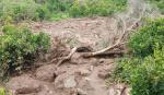 Lở đất chôn vùi hơn 1.000 dân làng ở Sudan