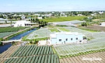Xã Tân Đông: Quyết tâm xây dựng xã nông thôn mới kiểu mẫu bền vững