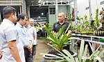 Trồng hoa lan: Mô hình sản xuất nông nghiệp thân thiện với môi trường