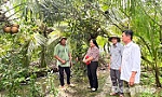 Xã Lương Hòa Lạc: Đẩy mạnh chuyển đổi cơ cấu cây trồng, vật nuôi