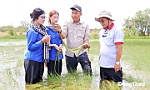 Hồi sinh Tràm Chim - Nỗ lực kiến tạo một 