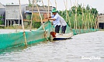 Nuôi trữ cá đồng gắn với du lịch