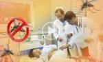 Sốt xuất huyết đang vào mùa, mỗi người cần chủ động phòng bệnh