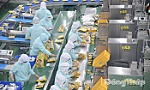 Đồng Tháp: Xét tôn vinh, khen thưởng nhân dịp họp mặt 21 năm Ngày Doanh nhân Việt Nam 13-10