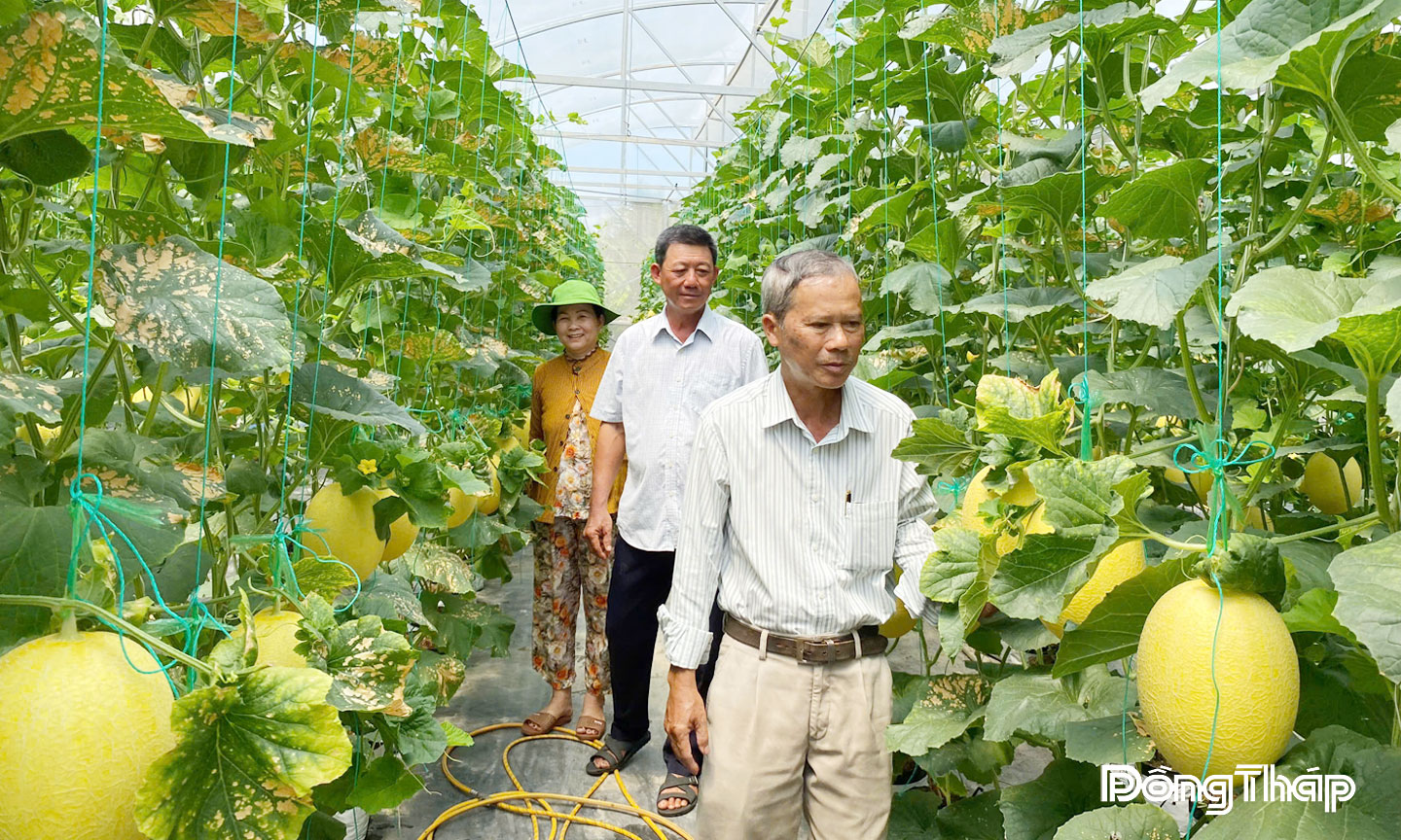 Xã Long Bình: Khai thác tiềm năng, lợi thế, hướng đến phát triển bền vững