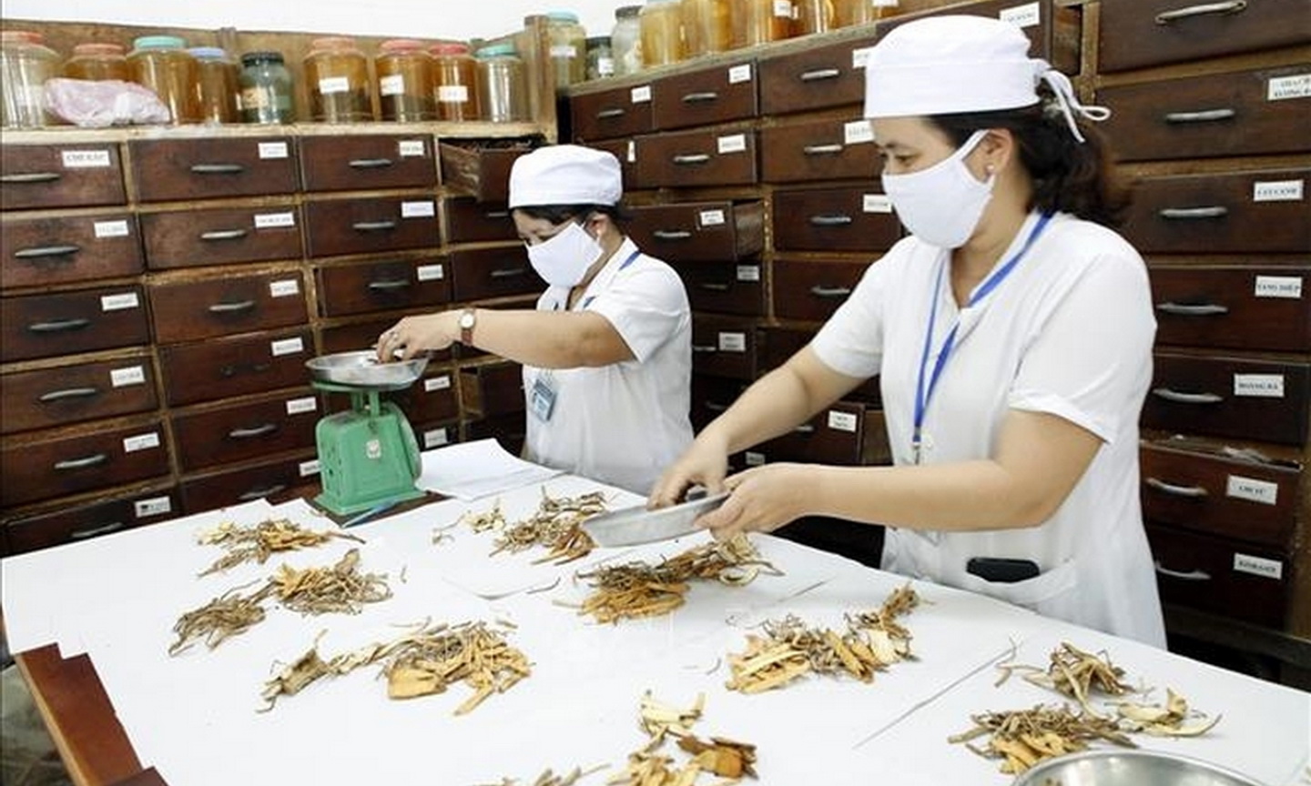 Phát huy hơn nữa vị thế, vai trò của y học cổ truyền trong chăm sóc sức khỏe nhân dân