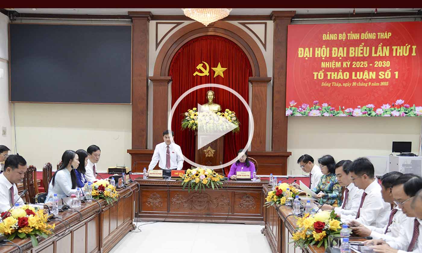 Đại hội Đại biểu Đảng bộ tỉnh Đồng Tháp lần thứ I: Nhiều ý kiến đóng góp dự thảo văn kiện