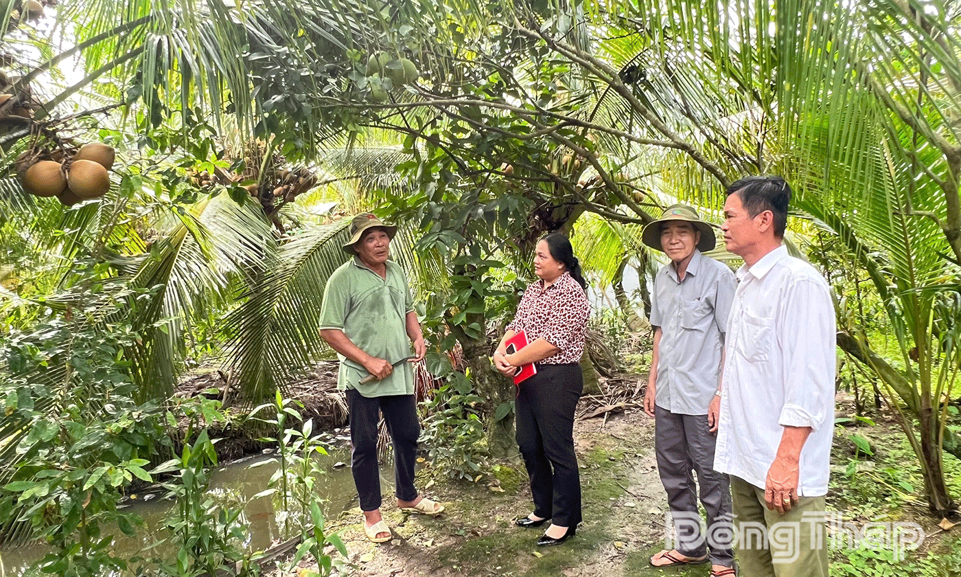 Hội Nông dân xã luôn đồng hành, hỗ trợ nông dân.