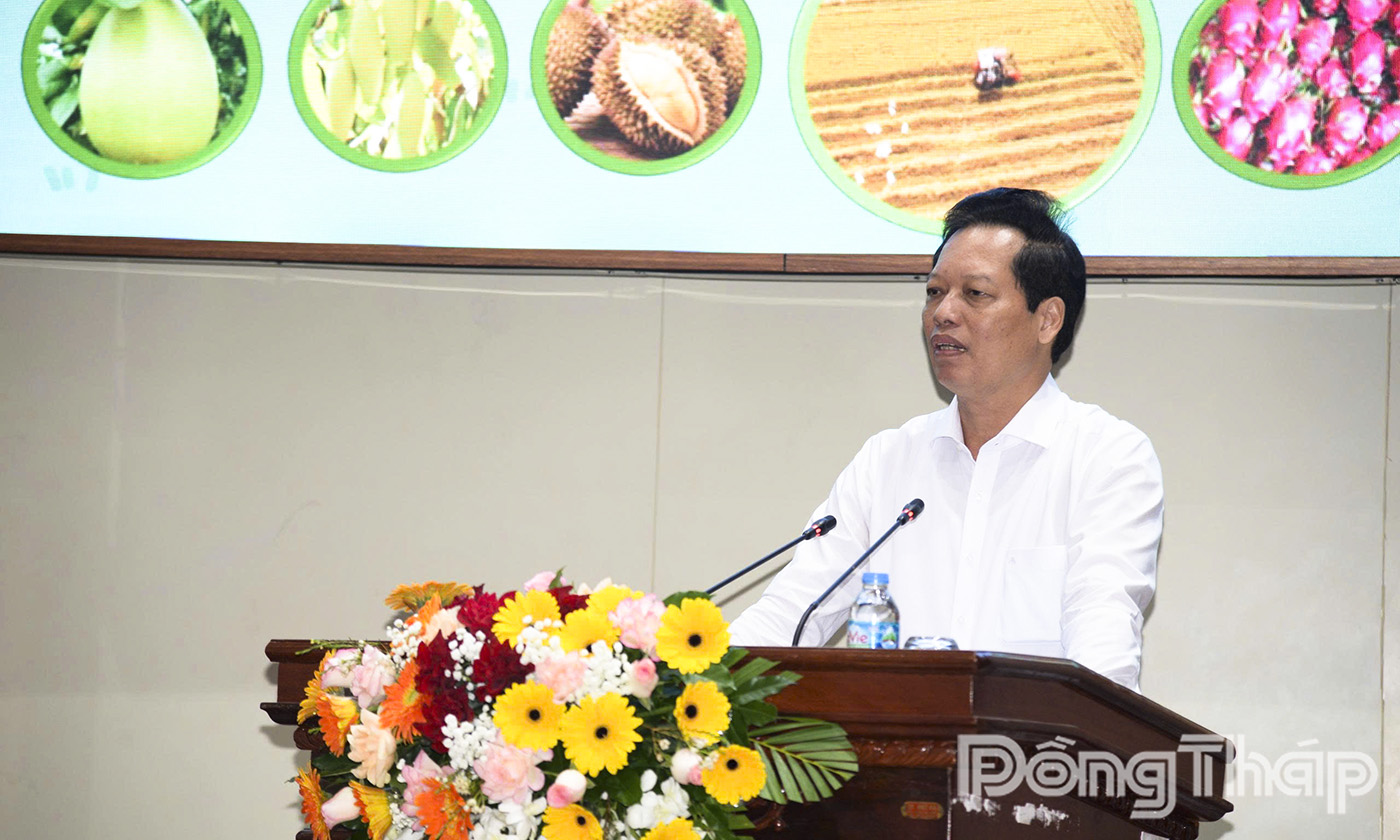 Đồng chí Nguyễn Thành Diệu, Phó Chủ tịch UBND tỉnh Đồng Tháp phát biểu khai mạc Hội nghị.