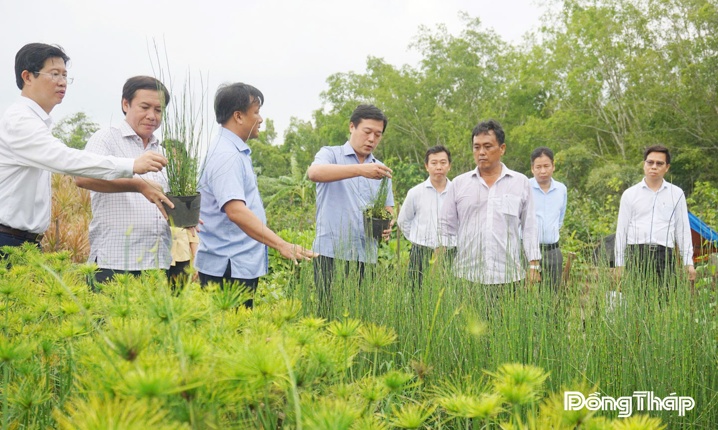 Bí thư Tỉnh ủy Đồng Tháp Lê Quốc Phong thăm cơ sở hoa kiểng Hiền Huy.