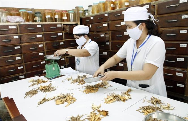 Đẩy mạnh phát triển y học cổ truyền trong giai đoạn mới.