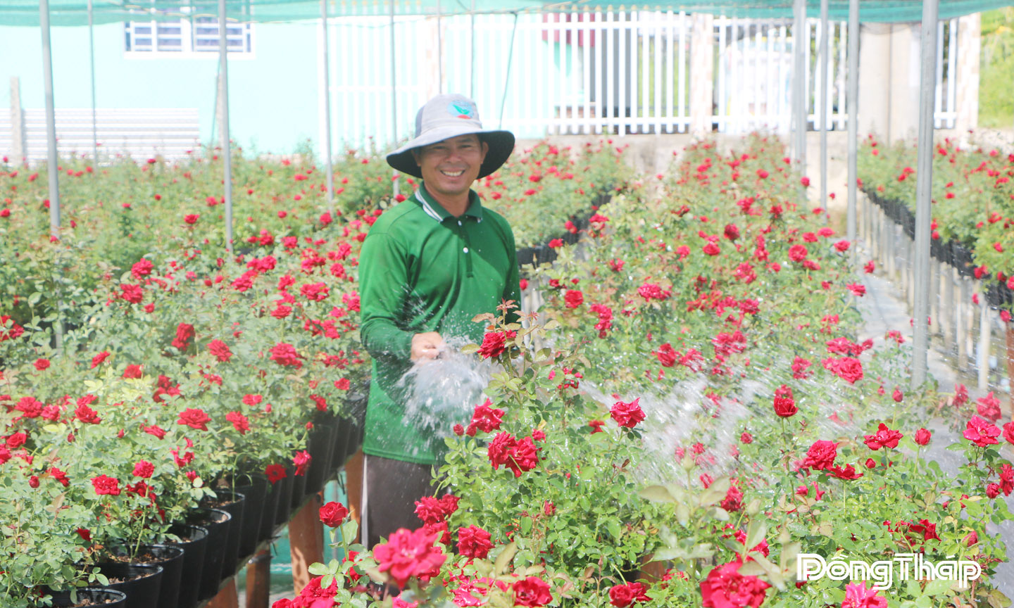 Làng hoa Sa Đéc phát triển mạnh mẽ sau Đề án Tái cơ cấu ngành Nông nghiệp.