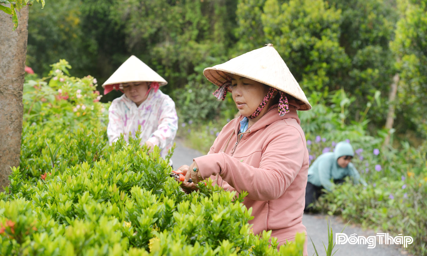  Người dân xã Tân Phước 1 tích cực tham gia xây dựng cảnh quan môi trường xanh - sạch - đẹp.