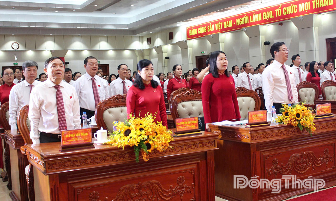 Các đại biểu thực hiện nghi thức chào cờ.