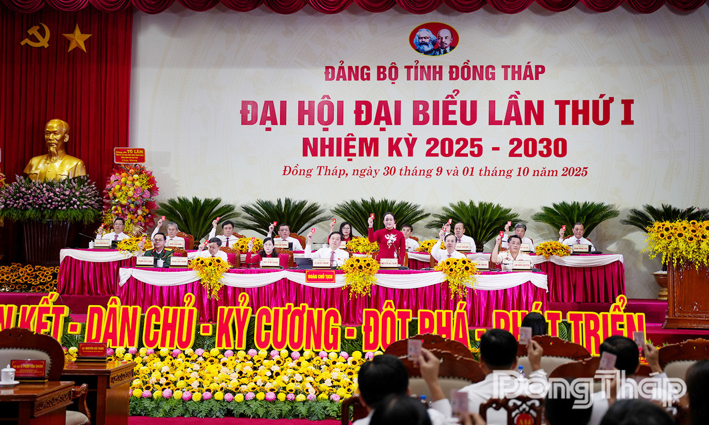 Các đại biểu biểu quyết tại Đại hội.