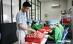 Khởi nghiệp từ niềm đam mê đặc sản quê hương
