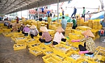 Đồng Tháp: Tập trung thực hiện tháng cao điểm chống khai thác hải sản bất hợp pháp, không báo cáo và không theo quy định