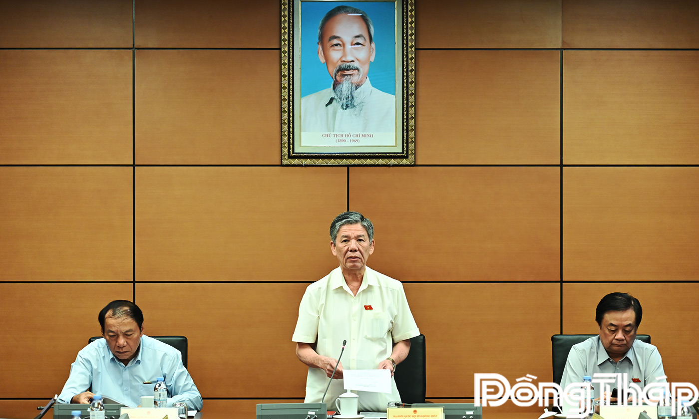 Đại biểu Quốc hội tỉnh Đồng Tháp thảo luận kết quả thực hiện kế hoạch phát triển kinh tế - xã hội năm 2025