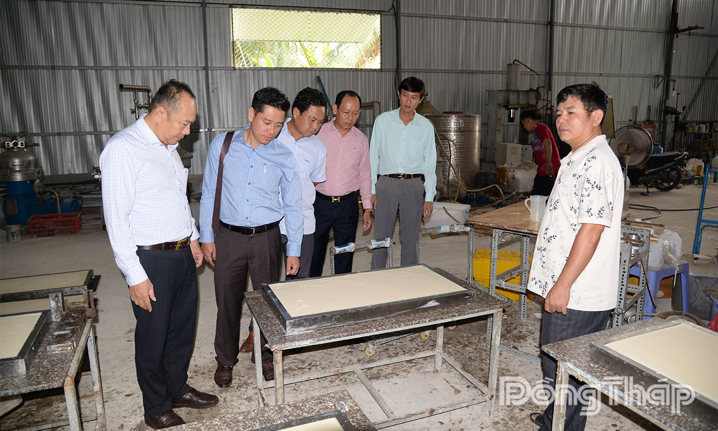 Lãnh đạo Liên minh HTX tỉnh Đồng Tháp thăm, làm việc tại Hợp tác xã Tiến Phát Chợ Gạo