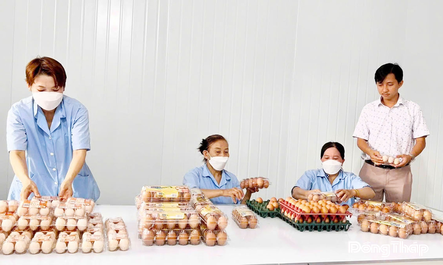 Công ty TNHH Thương mại và Chăn nuôi Hoàng Gia Huy xây dựng thành công chuỗi sản xuất gà ác đẻ trứng khép kín.
