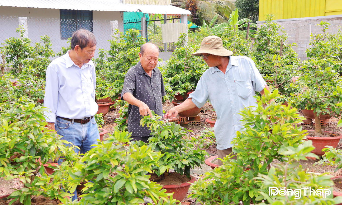 Bà con xã viên Hợp tác xã Tân Mỹ Chánh thường xuyên gặp gỡ trao đổi  kinh nghiệm nhằm nâng cao tay nghề trong sản xuất hoa kiểng.