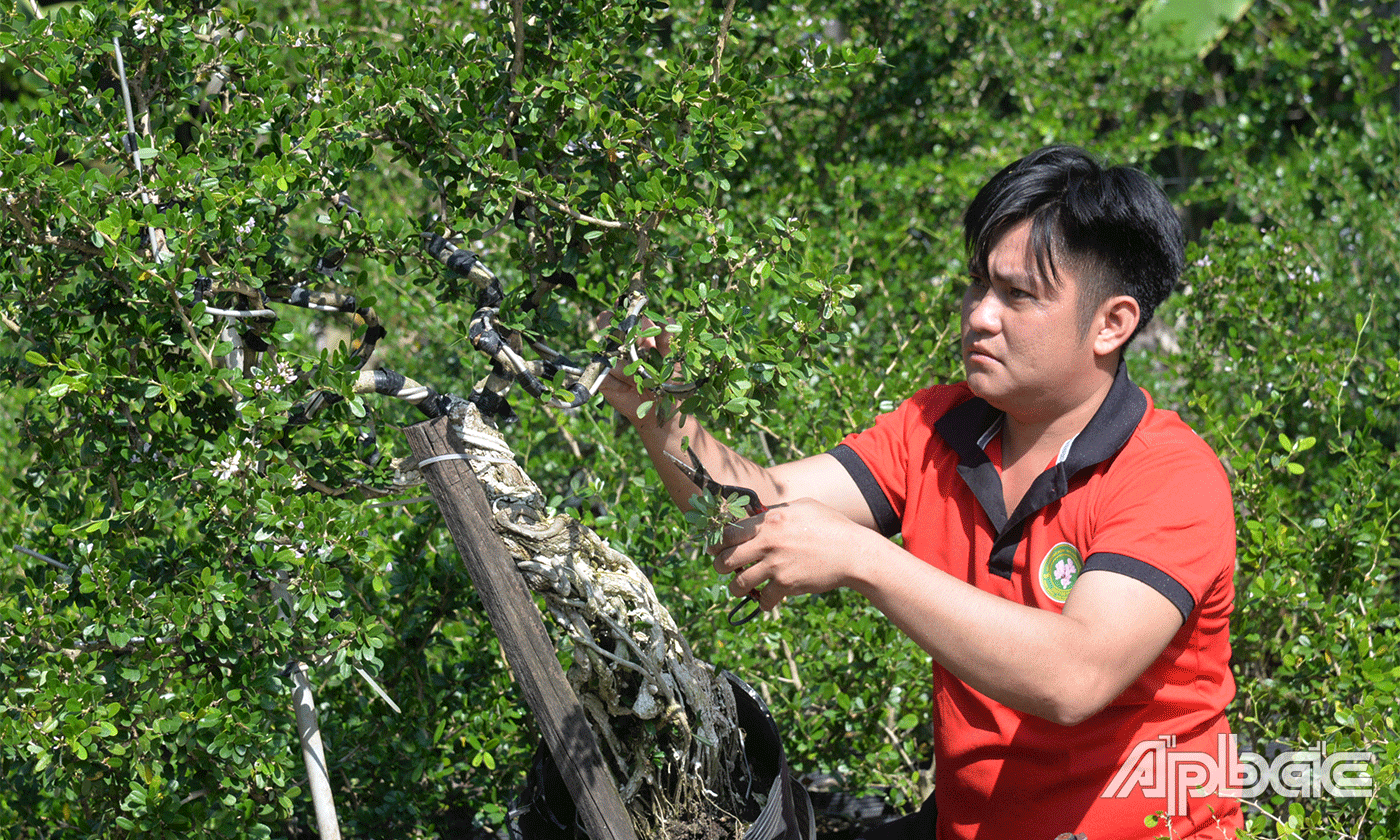 Anh Lê Tấn Thanh Bình là một nông dân tiêu biểu của xã Bình Ninh.