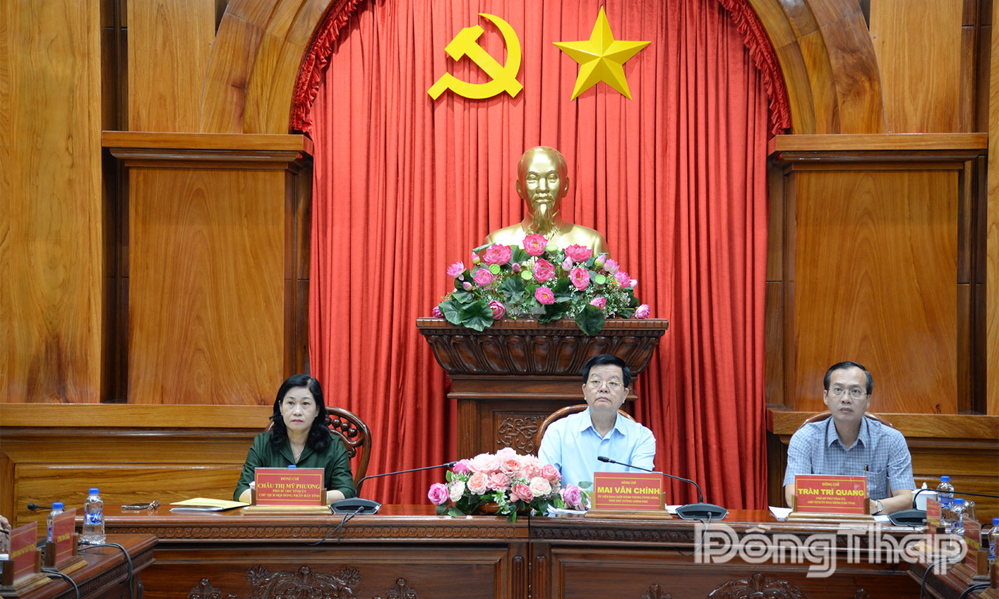 Quang cảnh hội nghị tại điểm cầu tỉnh Đồng Tháp.