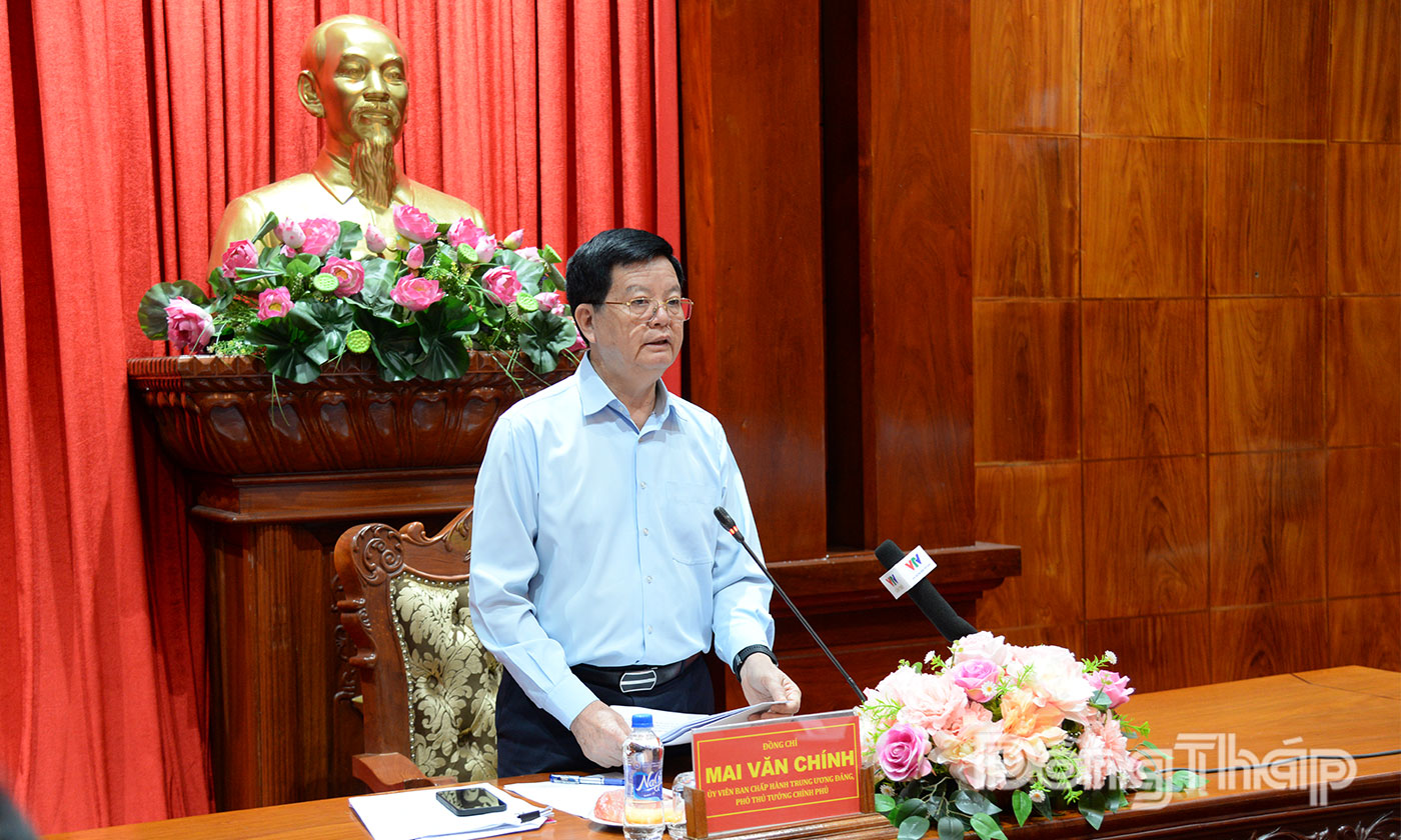 Phó Thủ tướng Chính phủ Mai Văn Chính phát biểu kết luận buổi làm việc.