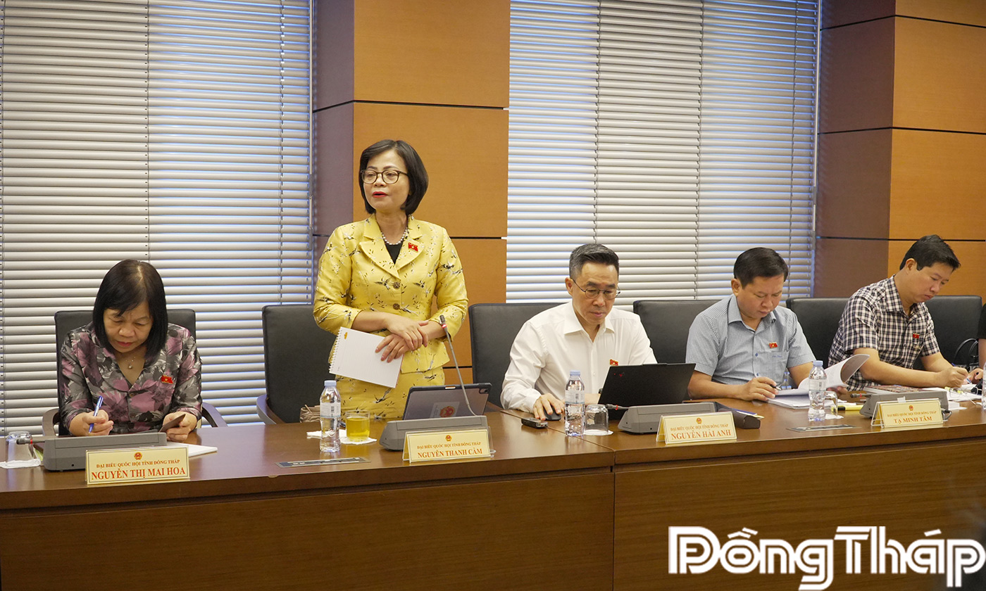 Đại biểu Nguyễn Thanh Cầm phát biểu thảo luận tại tổ