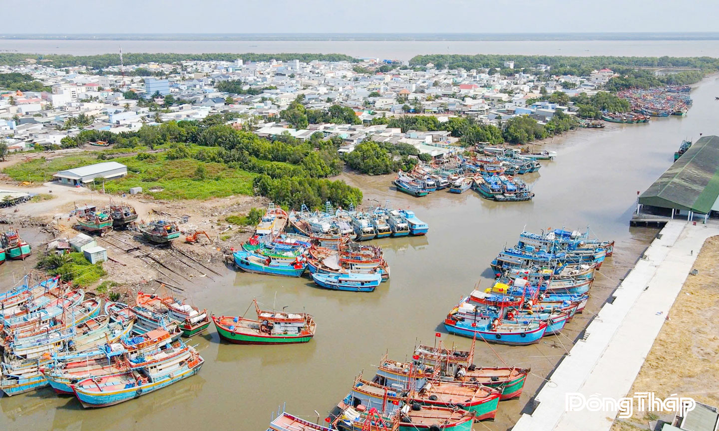 Đồng Tháp quyết tâm cùng cả nước gỡ "thẻ vàng" IUU Từ năm 2024 đến nay, tỉnh không có tàu cá vi phạm khai thác hải sản ở vùng biển nước ngoài.