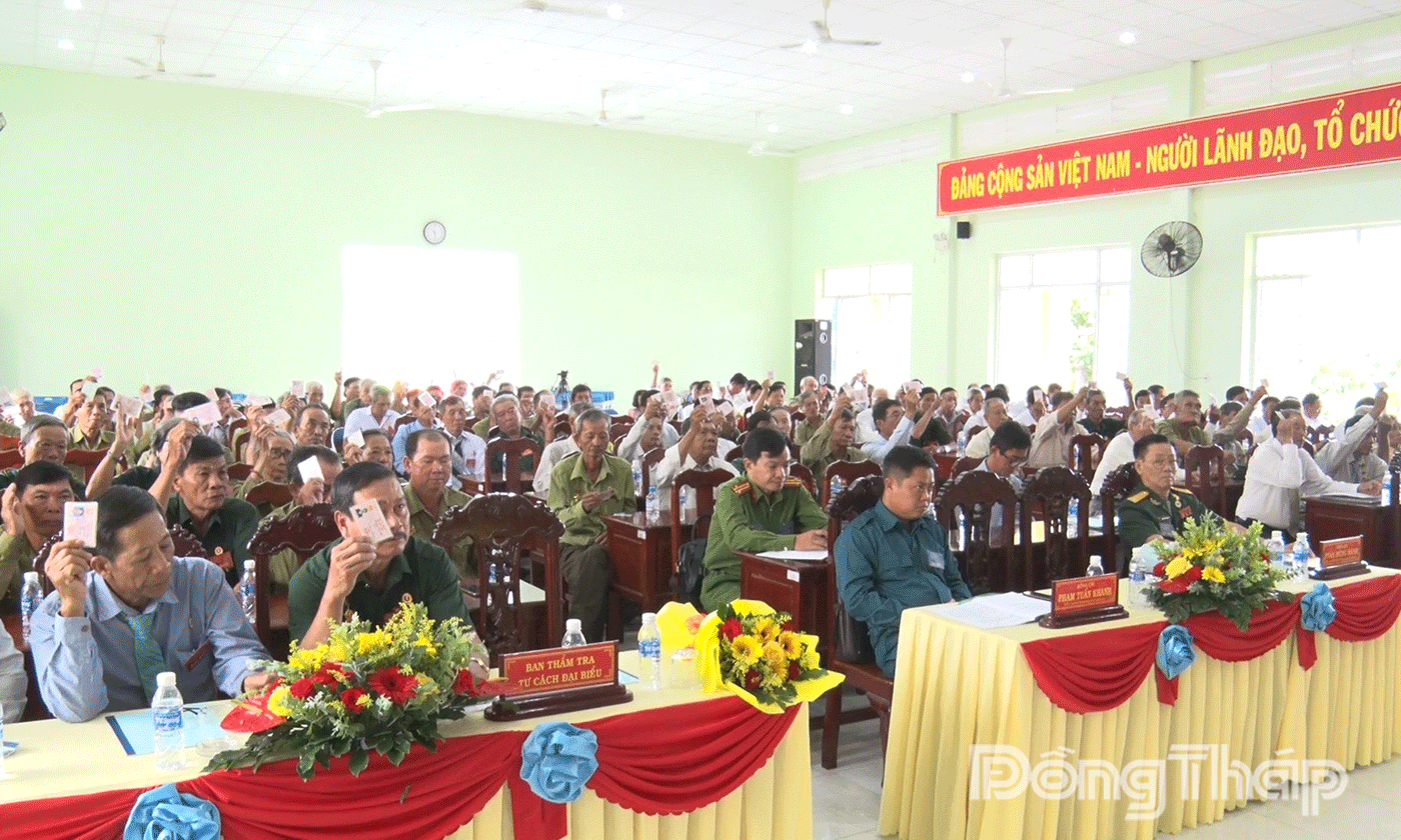 Đại biểu biểu quyết thông qua Nghị quyết Đại hội.