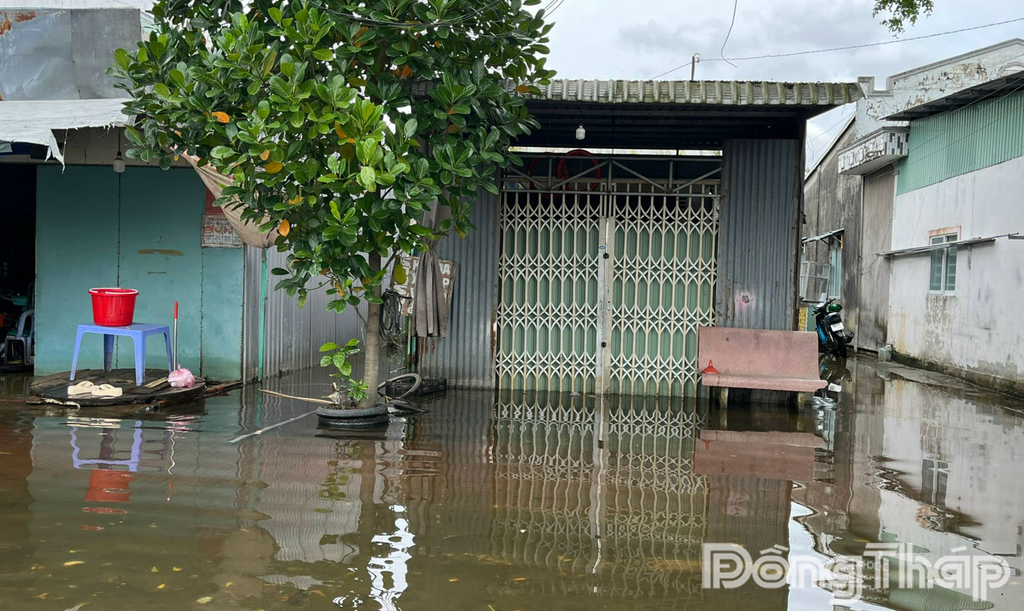  Nhà người dân tại khu vực phường Sa Đéc bị ảnh hưởng ngập.
