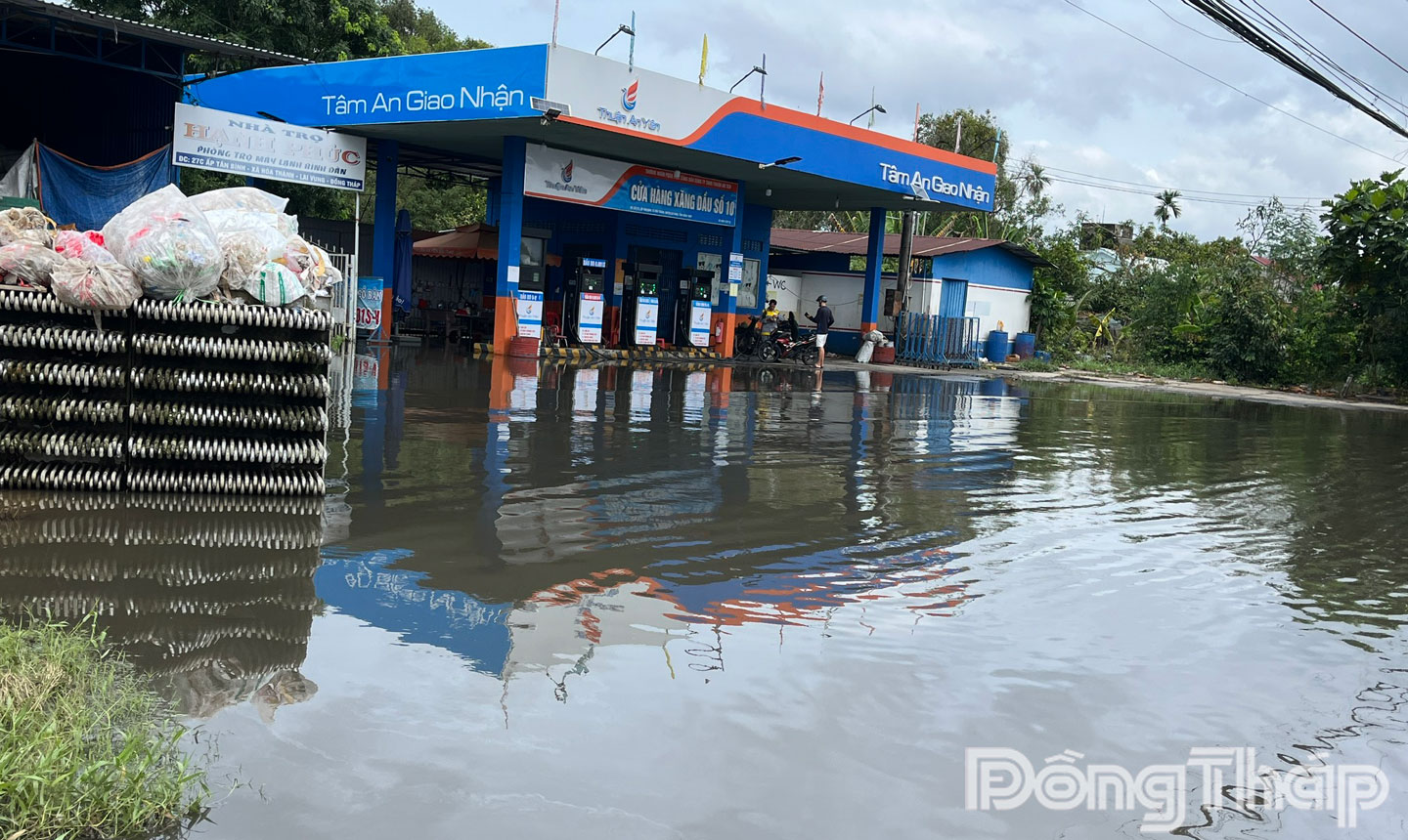 Triều cường gây ngập cũng ảnh hưởng nhiều đến việc kinh doanh của các doanh nghiệp trên tuyến QL80.
