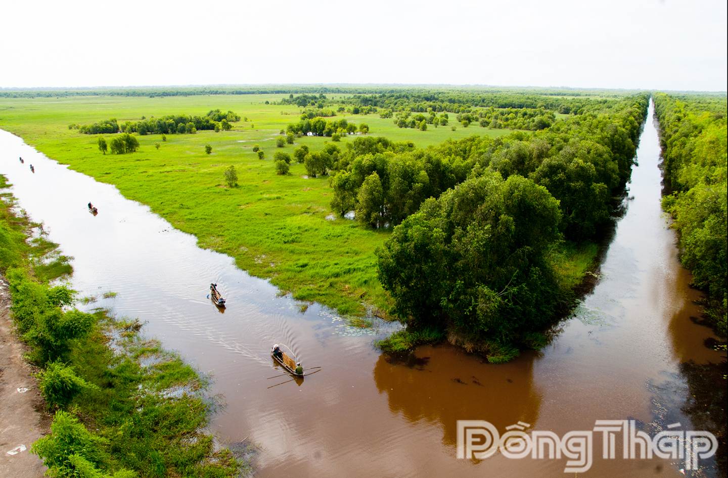 Vườn Quốc gia Tràm Chim. (Ảnh: THANH PHONG)