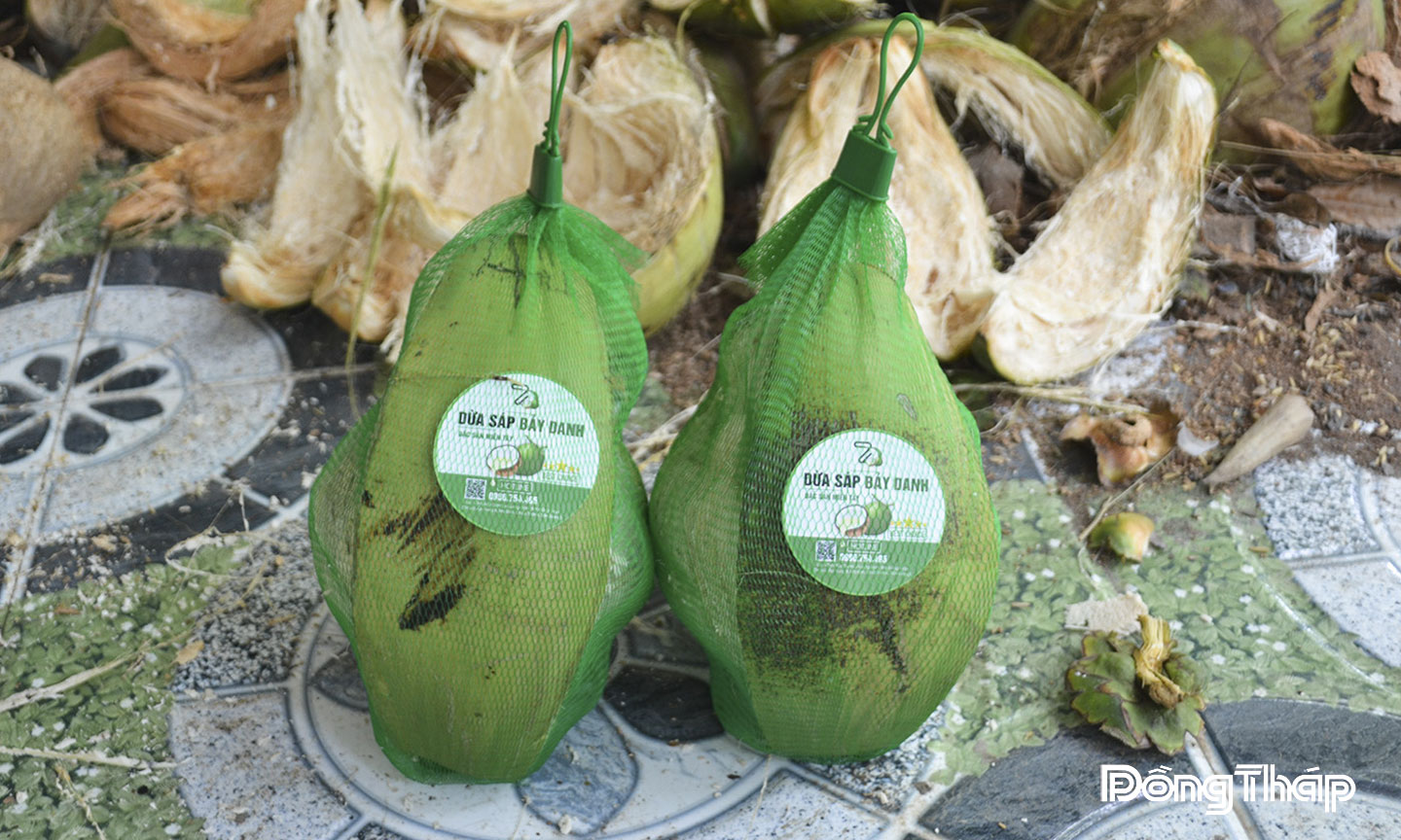 Dừa sáp cấy phôi được thị trường ưa chuộng và có giá khá cao.