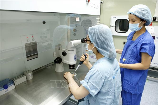 Bệnh viện Phụ sản Hà Nội phát triển nhiều kỹ thuật cao trong lĩnh vực hỗ trợ sinh sản mang lại hạnh phúc cho hàng trăm cặp vợ chồng hiếm muộn. Ảnh tư liệu: Dương Ngọc/TTXVN