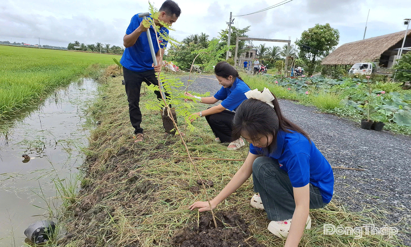 : Đoàn viên xã An Phước tổ chức trồng cây xanh ven tuyến đường giao thông nông thôn