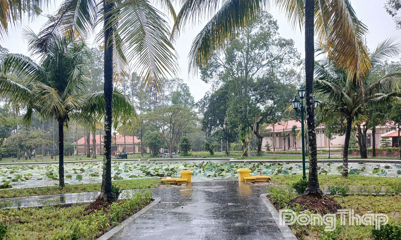 Mưa to kéo dài trên địa bàn phường Cao Lãnh, tỉnh Đồng Tháp vào sáng 28-10.