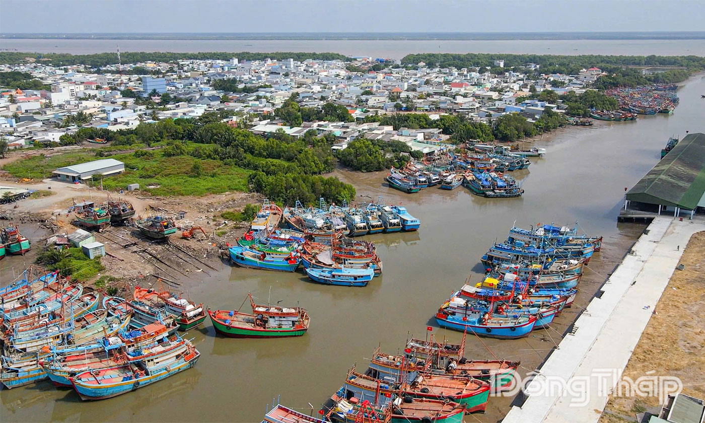 Đồng Tháp đang tập trung đẩy mạnh tiến độ đăng ký tàu cá và cấp phép khai thác thủy sản.