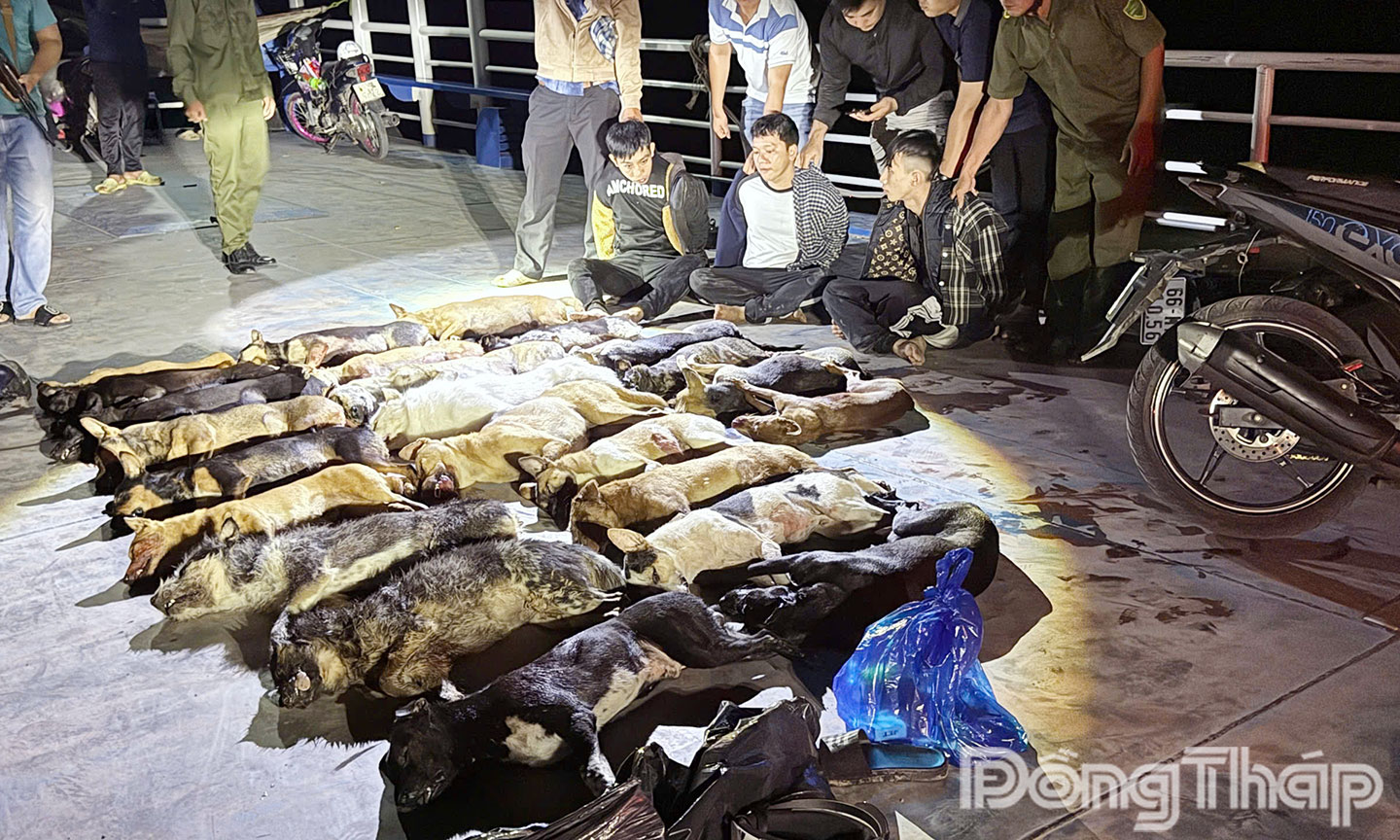 Các đối tượng và tang vật thu giữ.